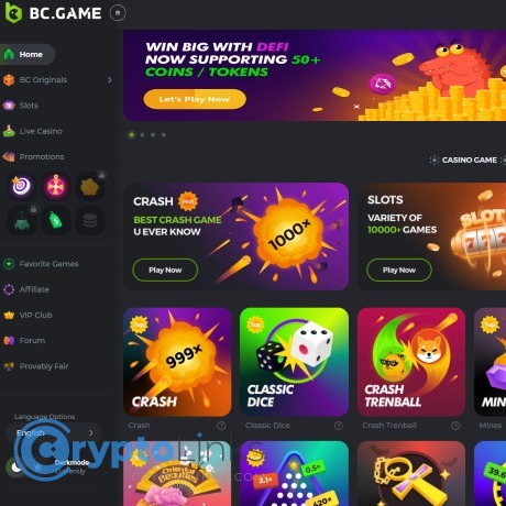 Découvrez France bcgame.im  le futur du jeu en ligne